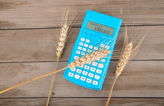 一个计算器和三支成熟的小麦麦穗