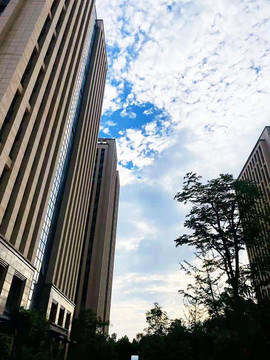高楼大厦