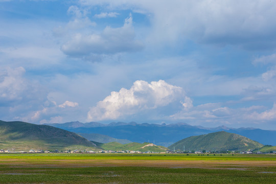 香格里拉纳帕海依拉草原