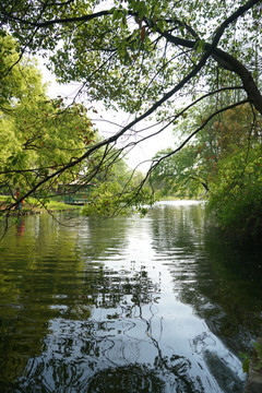 公园河流