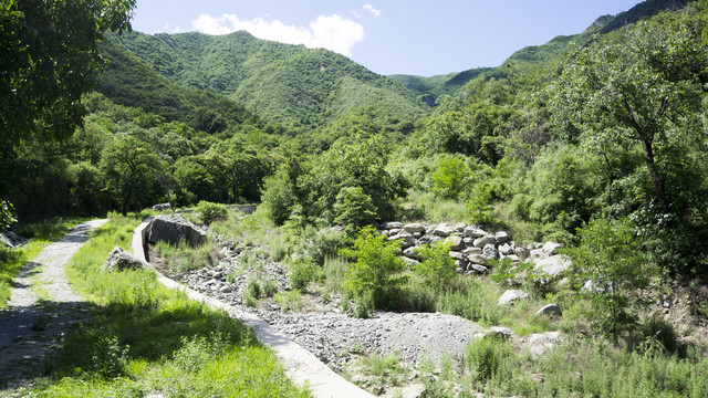 九龙山