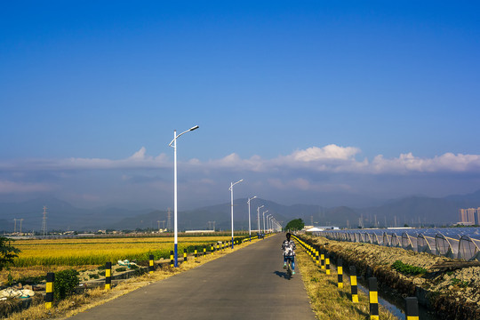 乡村公路