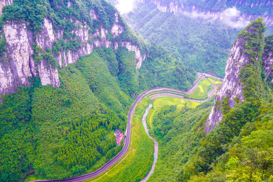 山谷里的路