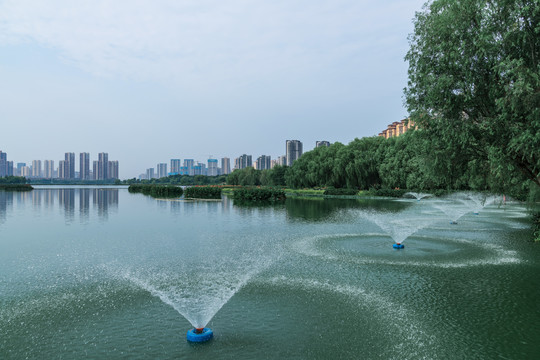 武汉墨水湖公园风景