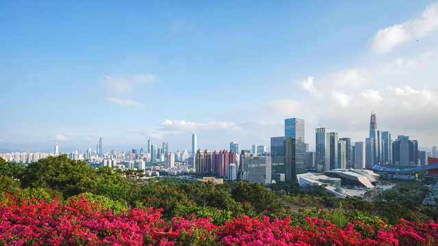 深圳城市天际线