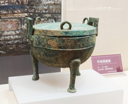 环钮铜盖鼎