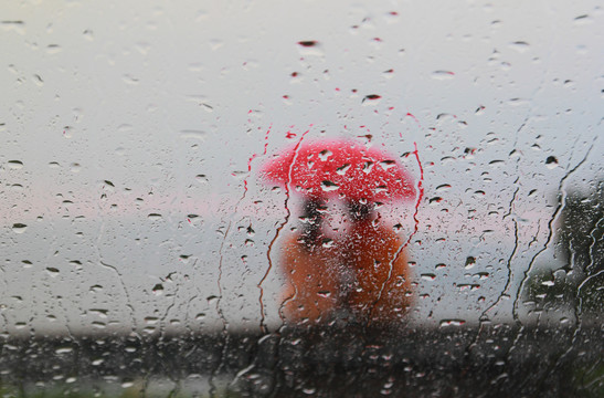 在雨中