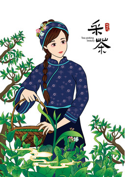 采茶美女插画