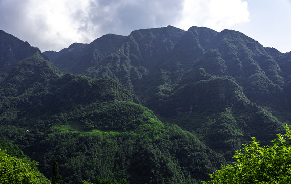 绿色山岭