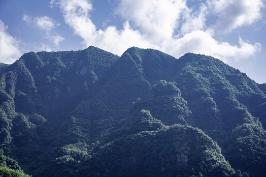 绿色山岭