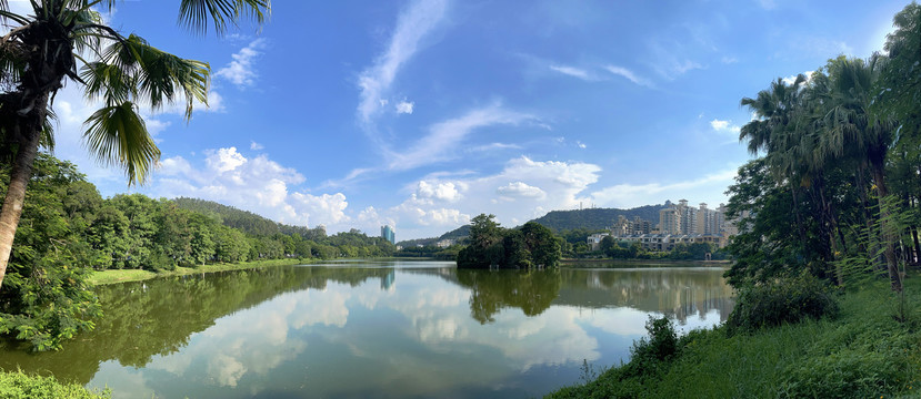 绿色湖景