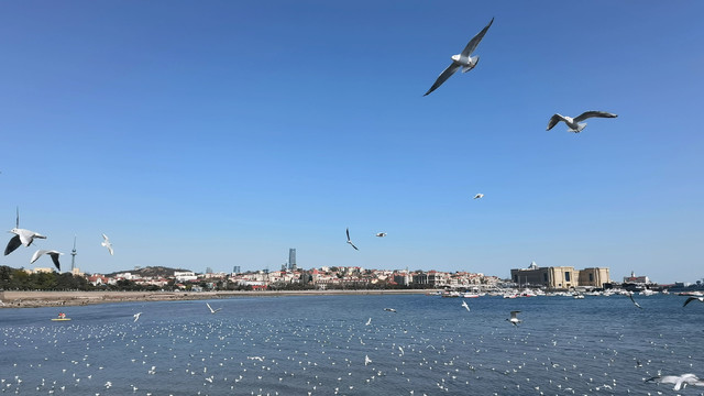 青岛栈桥
