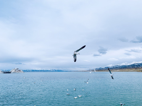 青海湖