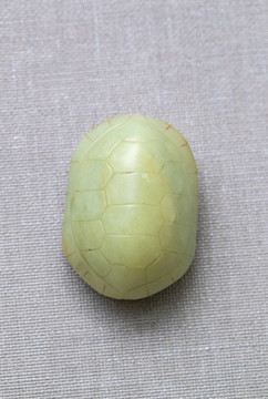 西周玉龟壳