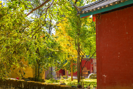 云南鹤庆鹤阳寺