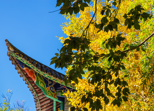 云南鹤庆鹤阳寺