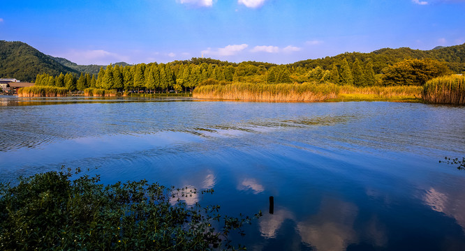 宁波东钱湖湿地