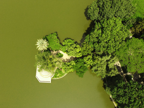 中国南方阔叶林树林航拍