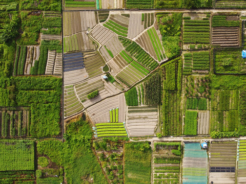 中国南方平原绿色生态农田航拍
