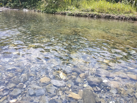清澈的河水