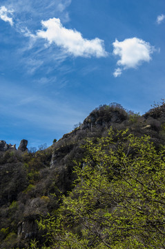 白石山风光