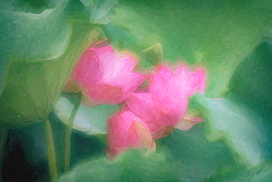 花卉油画