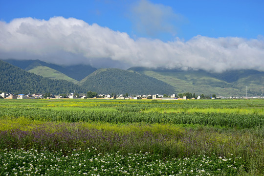 乡村风光