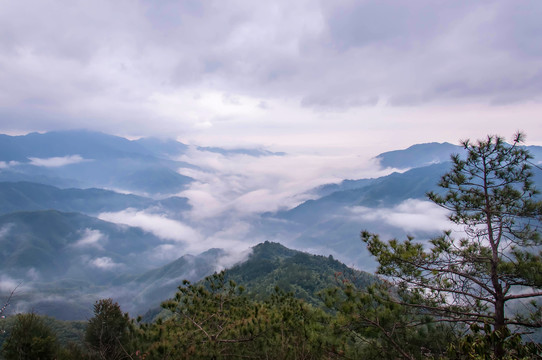 井岗山云海