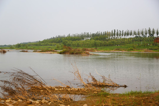 河岸河边洛河滩