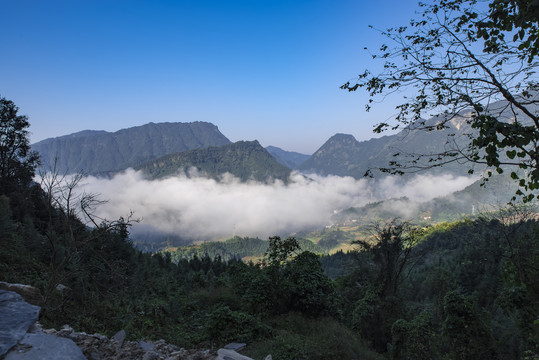 大山云海