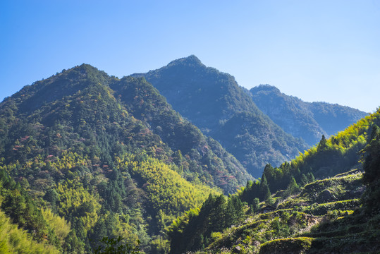 美丽的大山风景