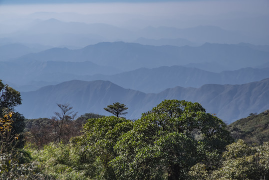 大山山区远山山脉