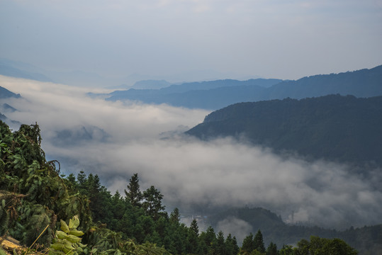 山谷云海