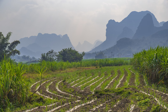 乡村风景