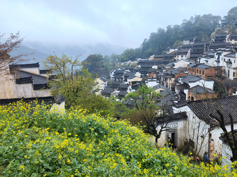 婺源