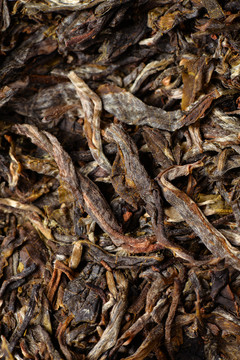 普洱茶