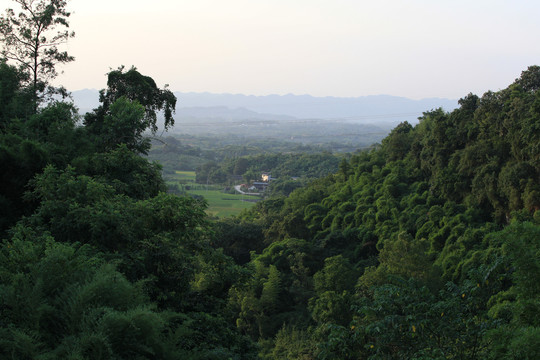 农村风光