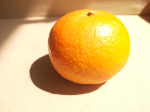 沃柑