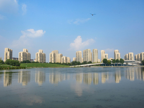 航空港区康平湖公园