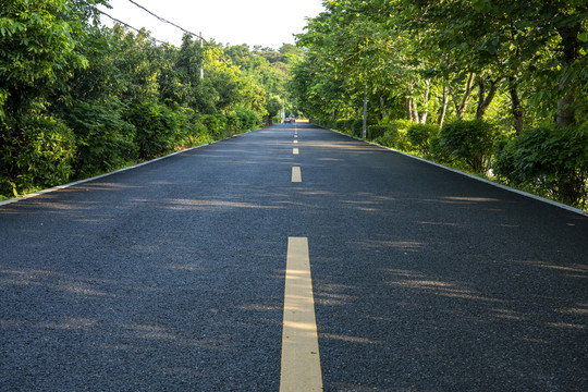 森林公路