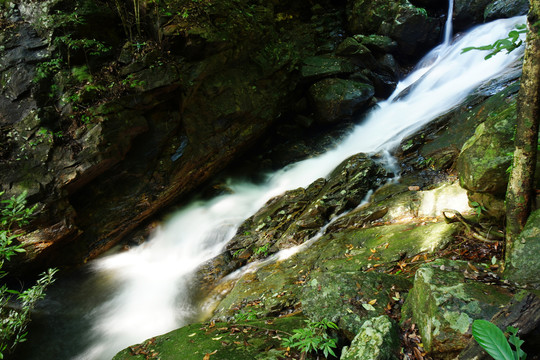 梧桐山泰山涧溪流高山流水