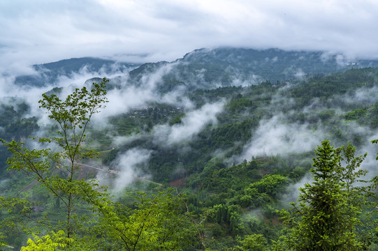 云雾缭绕的山村