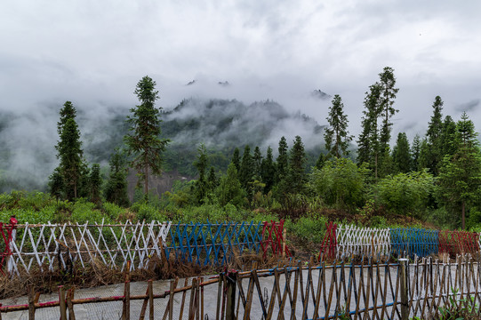 云雾缭绕的山村