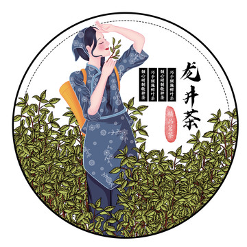 汉族采茶女龙井茶绿茶大红袍插画