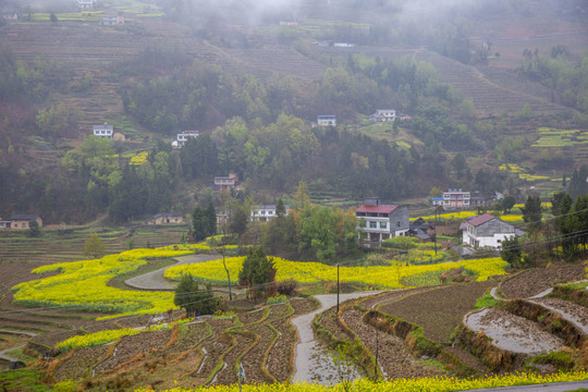 凤堰古梯田