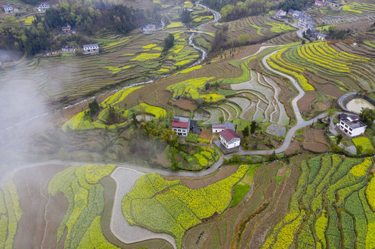 凤堰古梯田航拍