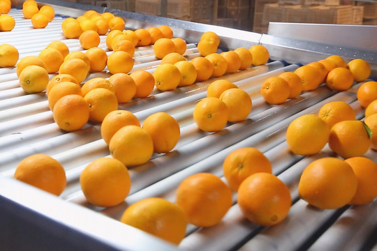 筛选橙子