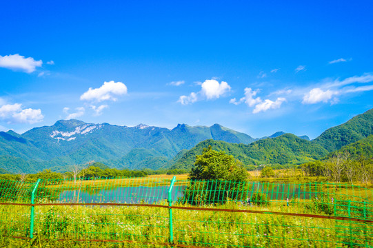 神农架大九湖