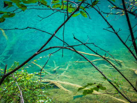 大美九寨沟