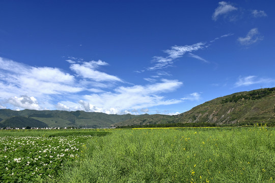 乡村风光